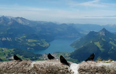 Vierwaldstättersee